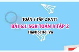Bài 6.1 SGK Toán 8 Tập 2 Kết nối tri thức